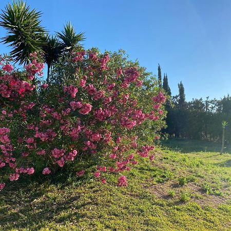 Casa Donny Bed & Breakfast Alhaurín el Grande Dış mekan fotoğraf